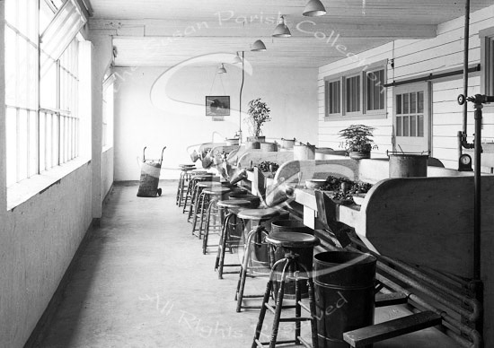 OLYMPIA OYSTER HOUSE, SCHUCKING ROOM 1929