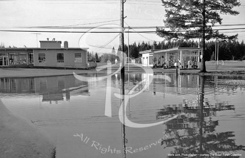 SLEATER-KINNEY FLOODED