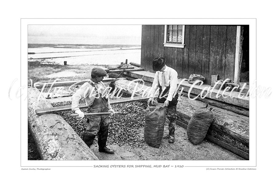 Loading Bags of Oysters