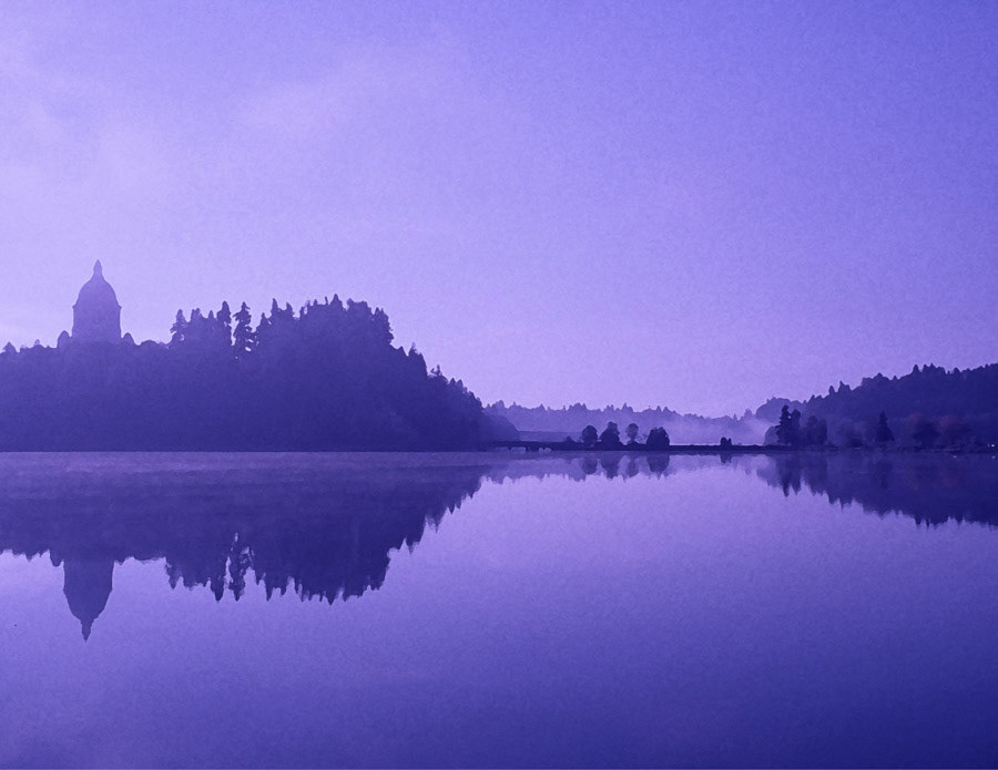 Misty Morning on the Lake