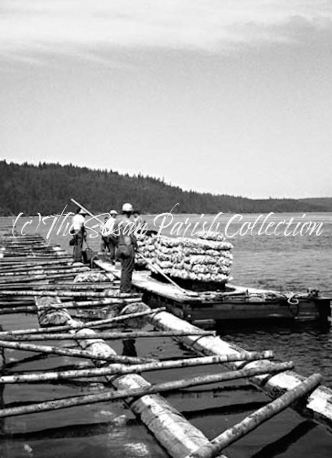 OYSTER HARVESTING CREW