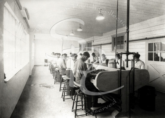 OLYMPIA OYSTER HOUSE, SCHUCKING ROOM 1929