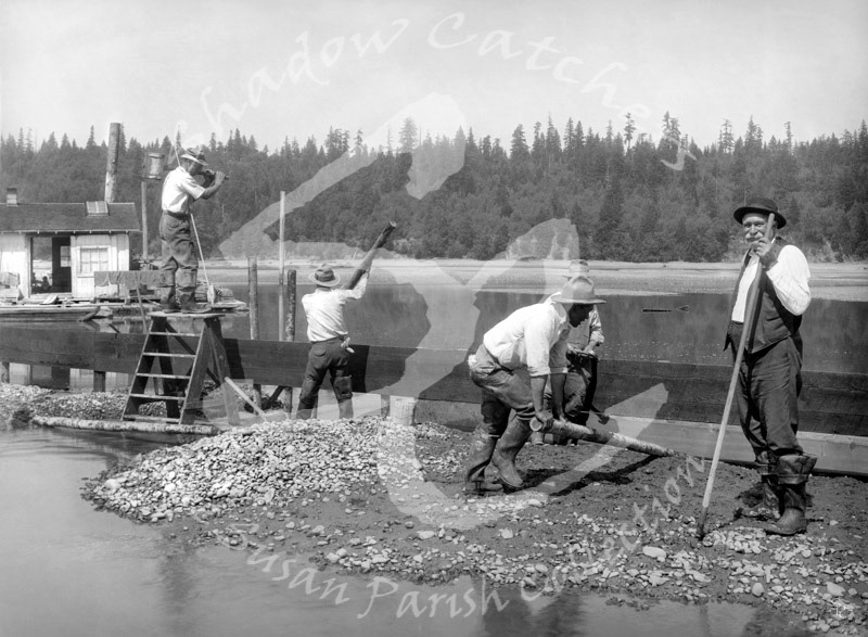 #A363  "DYKING OYSTER BEDS" by Vibert Jeffers Photographer