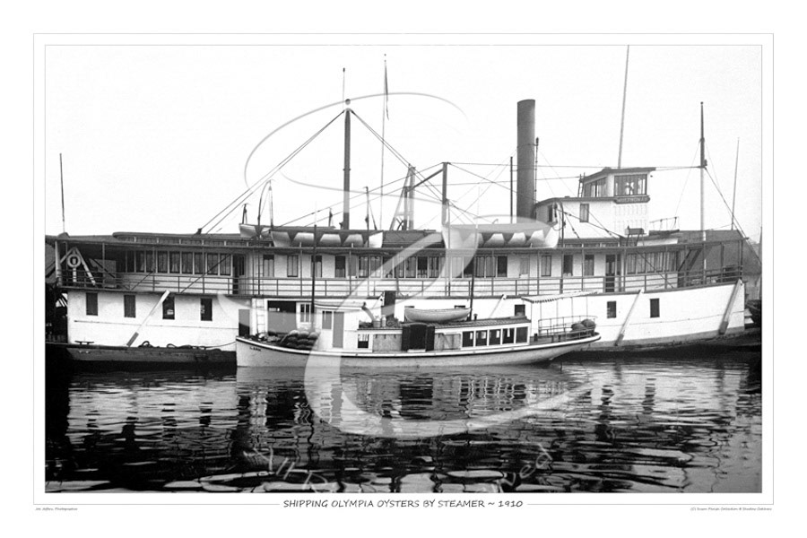 Oysters were a big draw for keeping the Capitol in Olympia