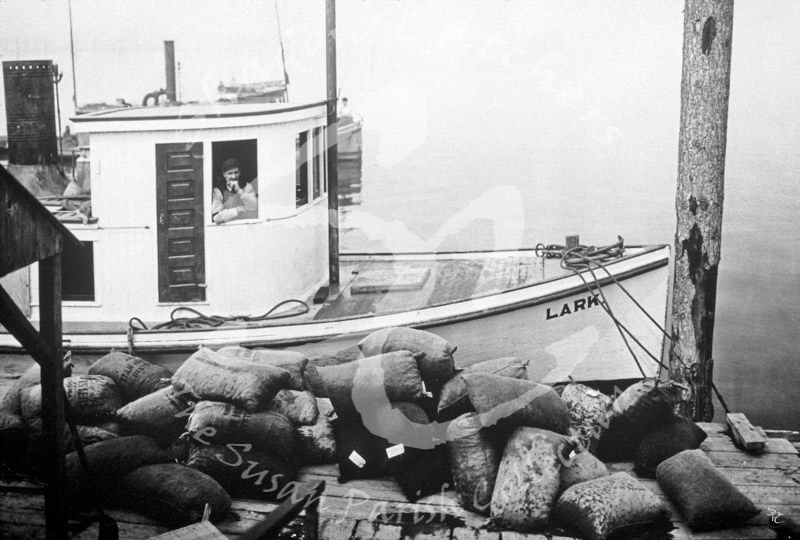 #G111 - "OYSTER BOAT LARK AT DOCK, 1910"