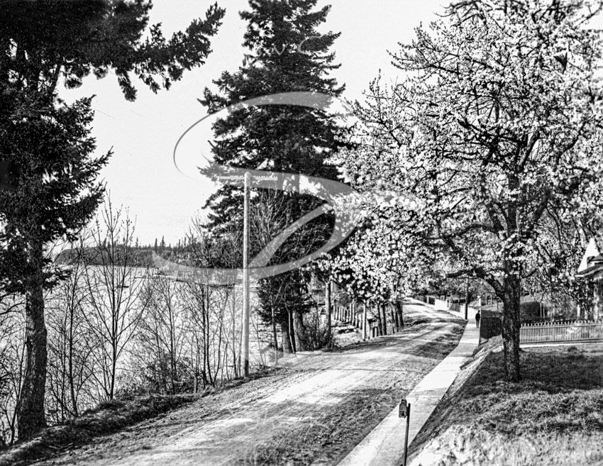 EAST BAY DRIVE CIRCA 1910