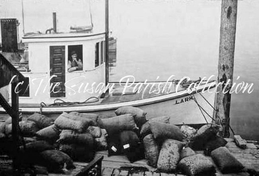OYSTER SACKS ON OLYMPIA DOCK
