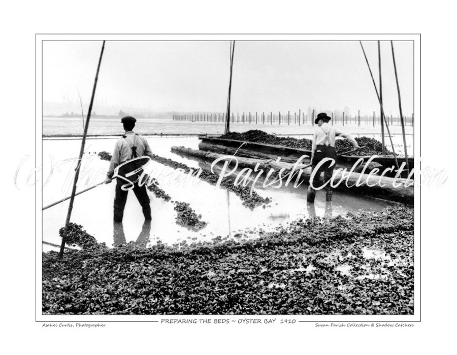 OYSTER SHUCKERS AT BRENNER OYSTER CO.