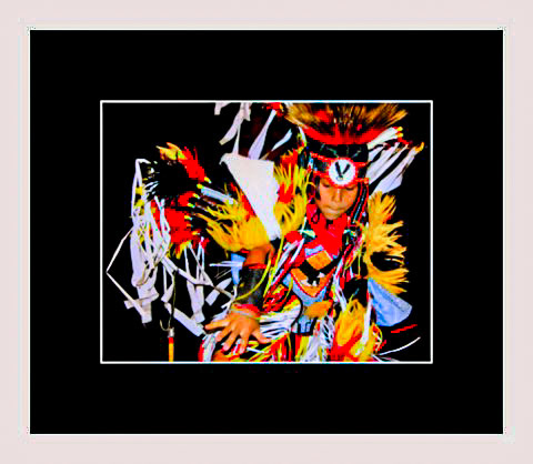 Fancy Dancer