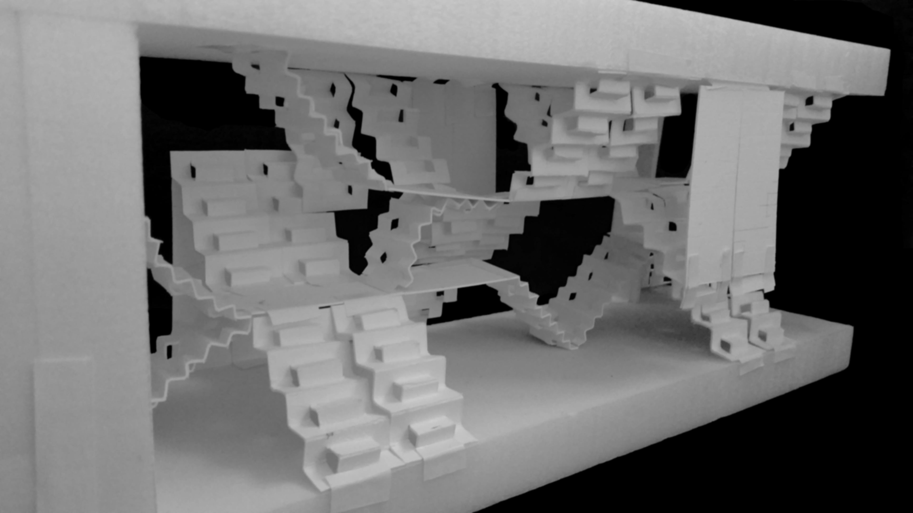 Study Model
