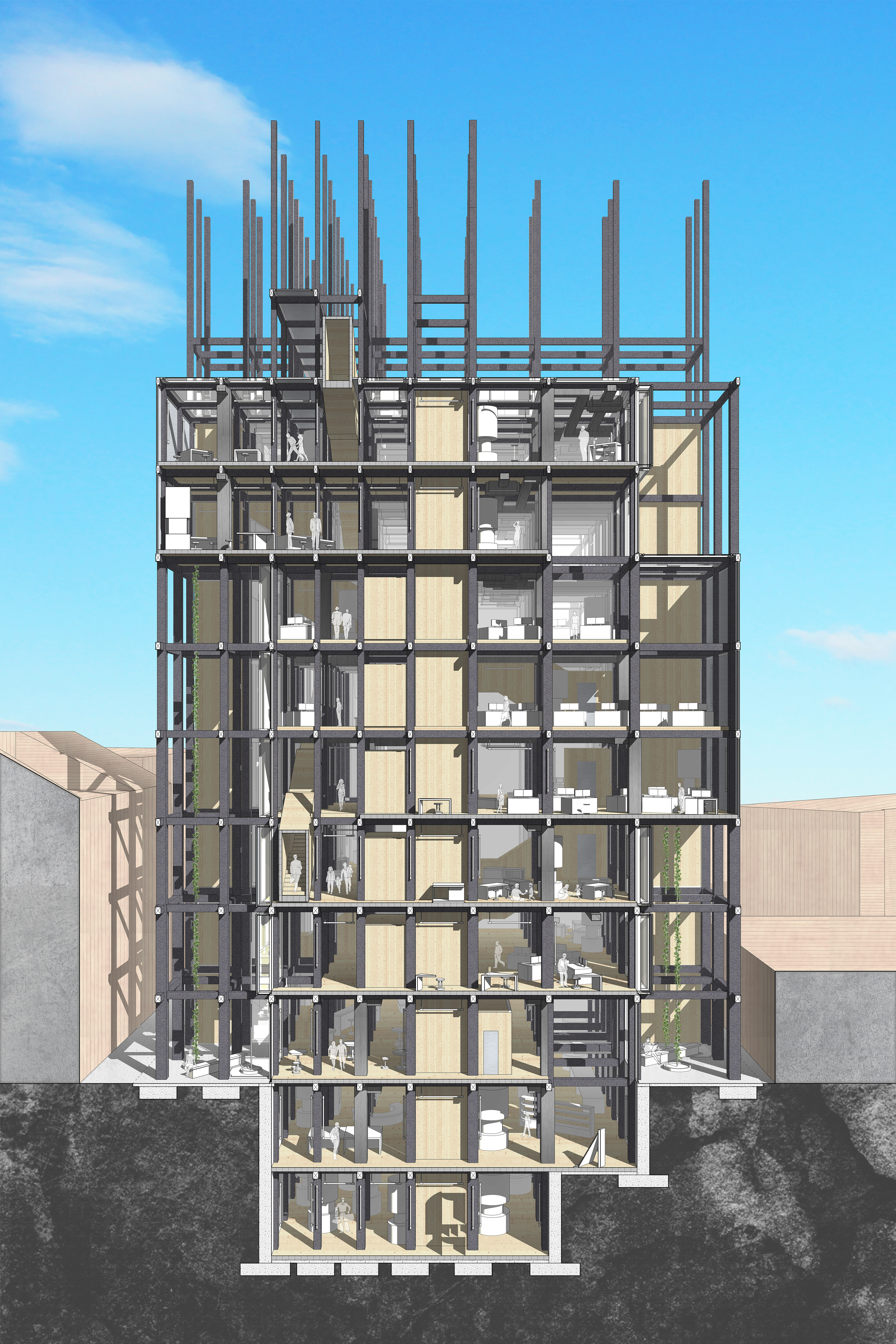 Section Cut Perspective