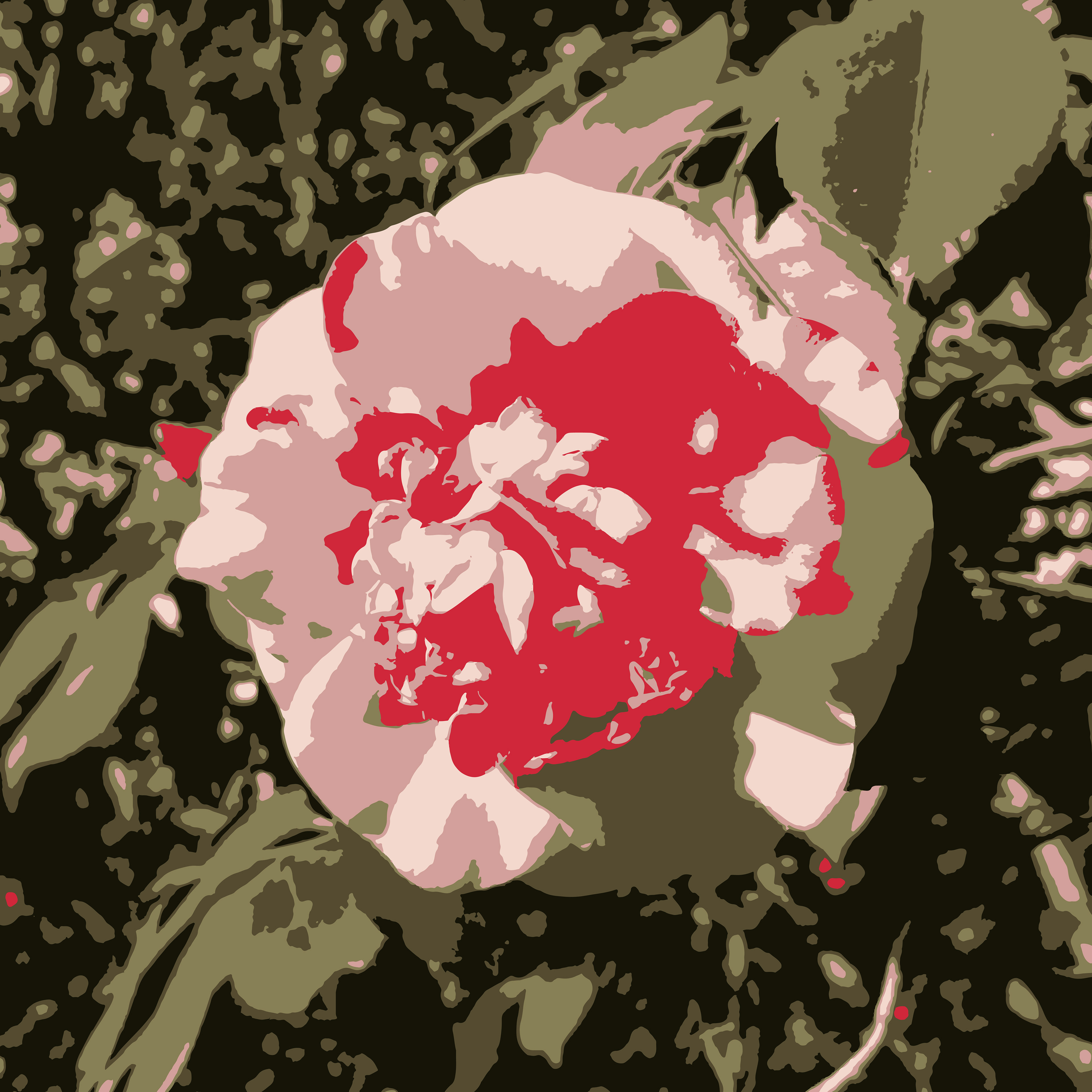 Rose Garden
