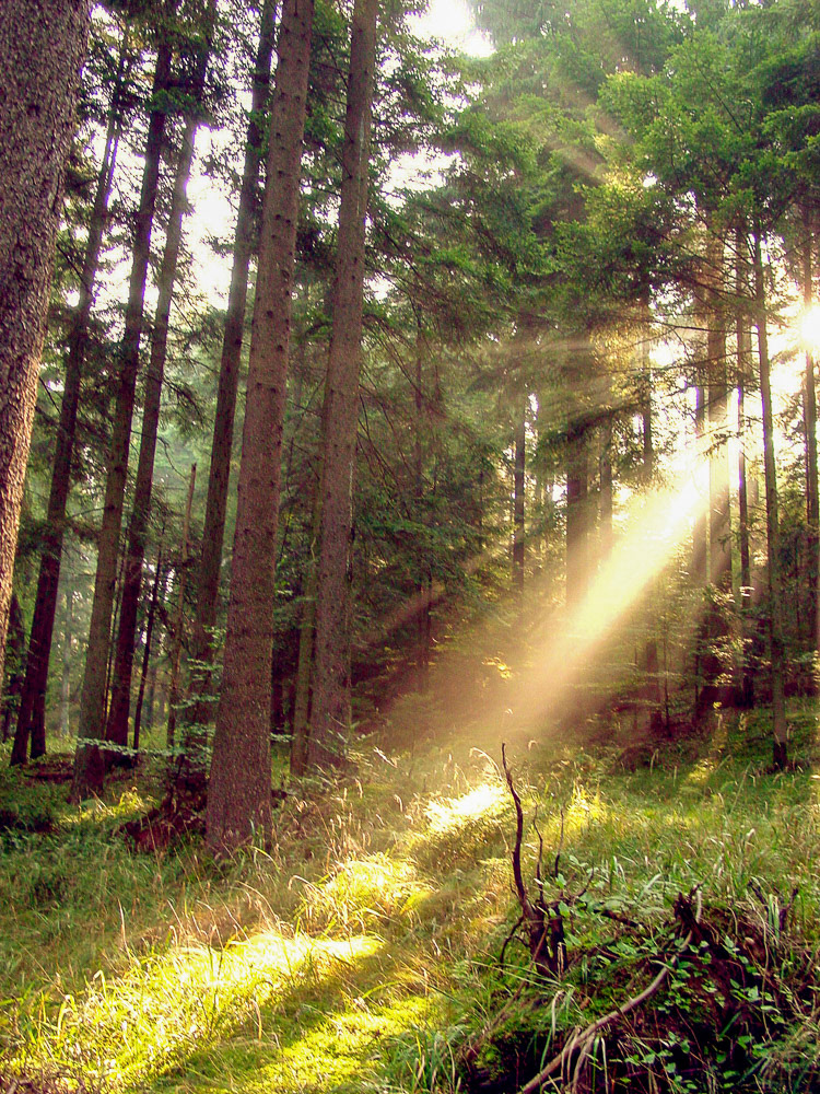 Somewhere in Germany