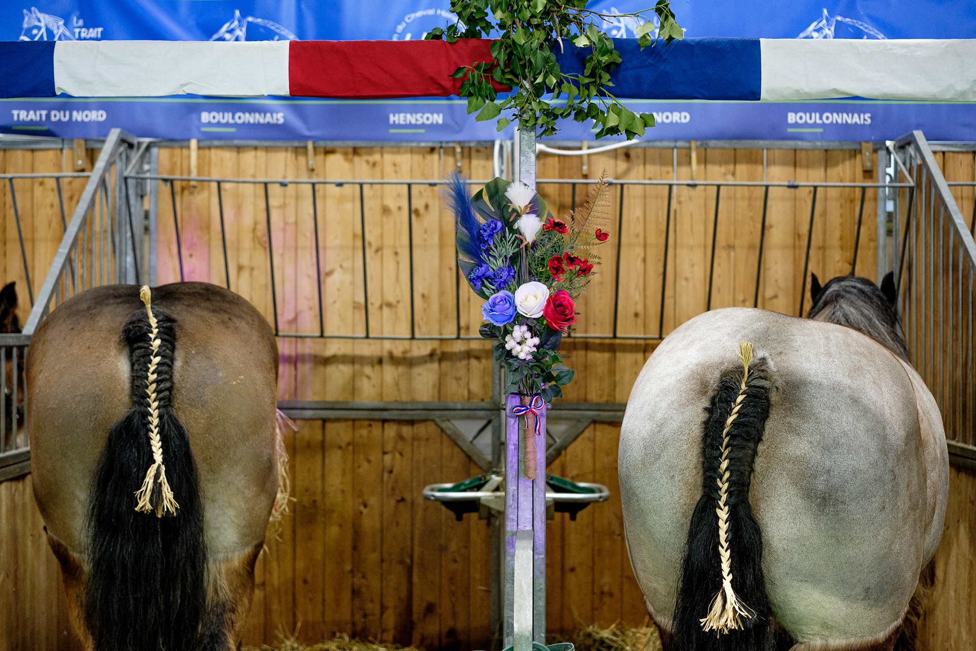 Foire agricole Paris 2023