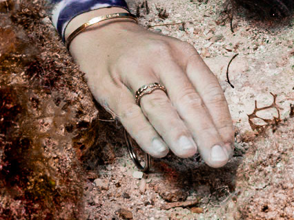 Tiny cleaner shrimp on her little finger