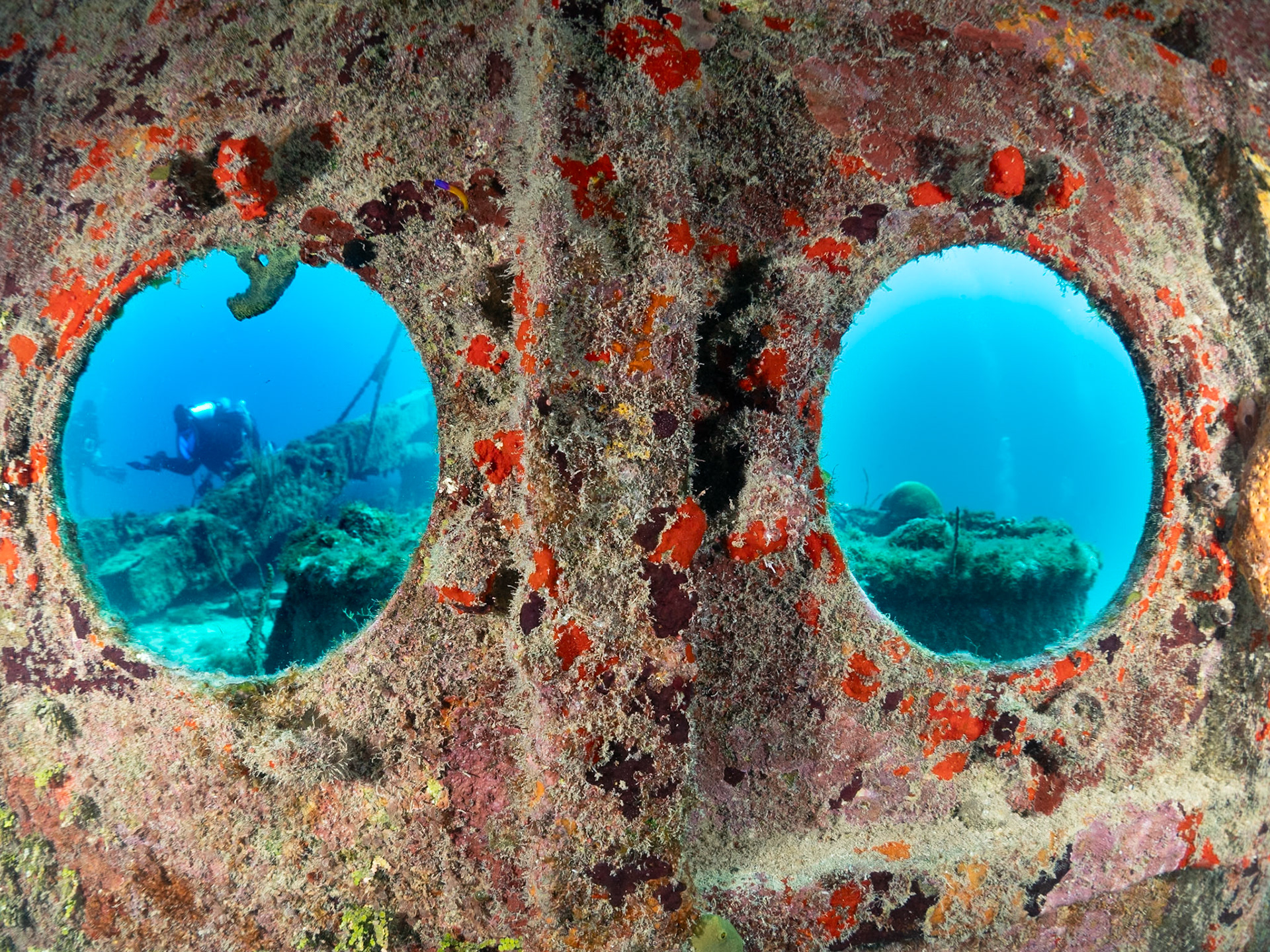 Thru the portholes of the Soto Trader wreck