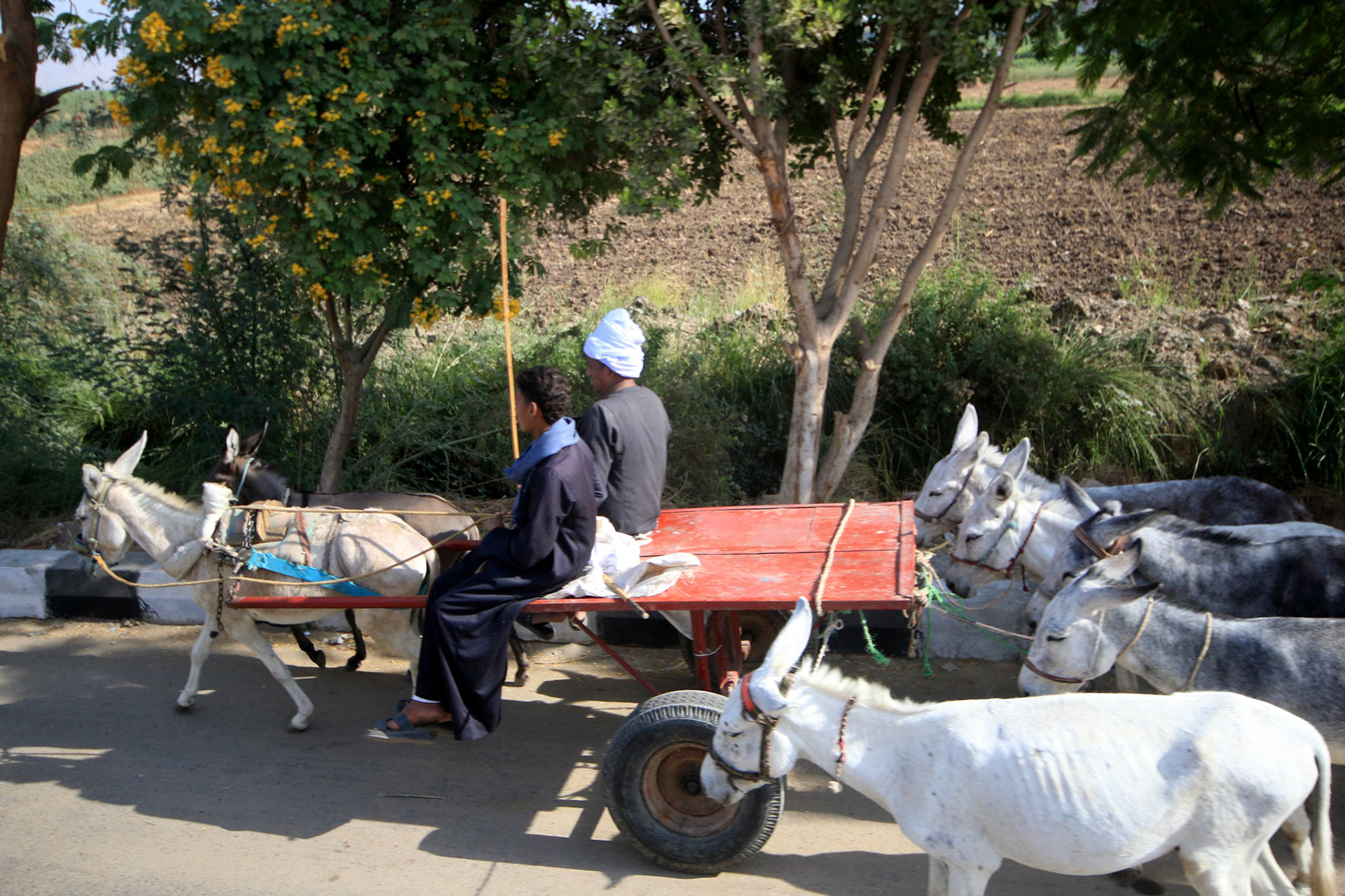 Sharing the road