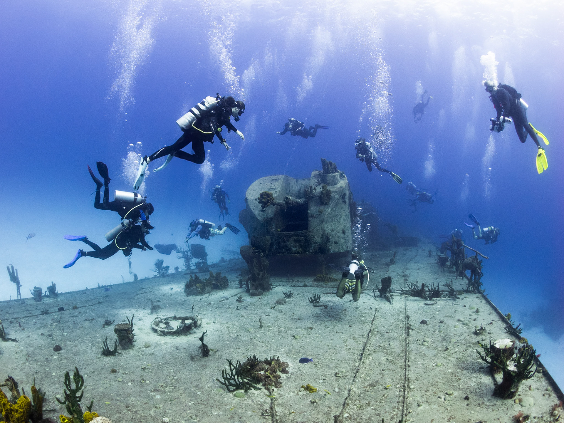Diver Crowd on Paul Tibbits Wreck