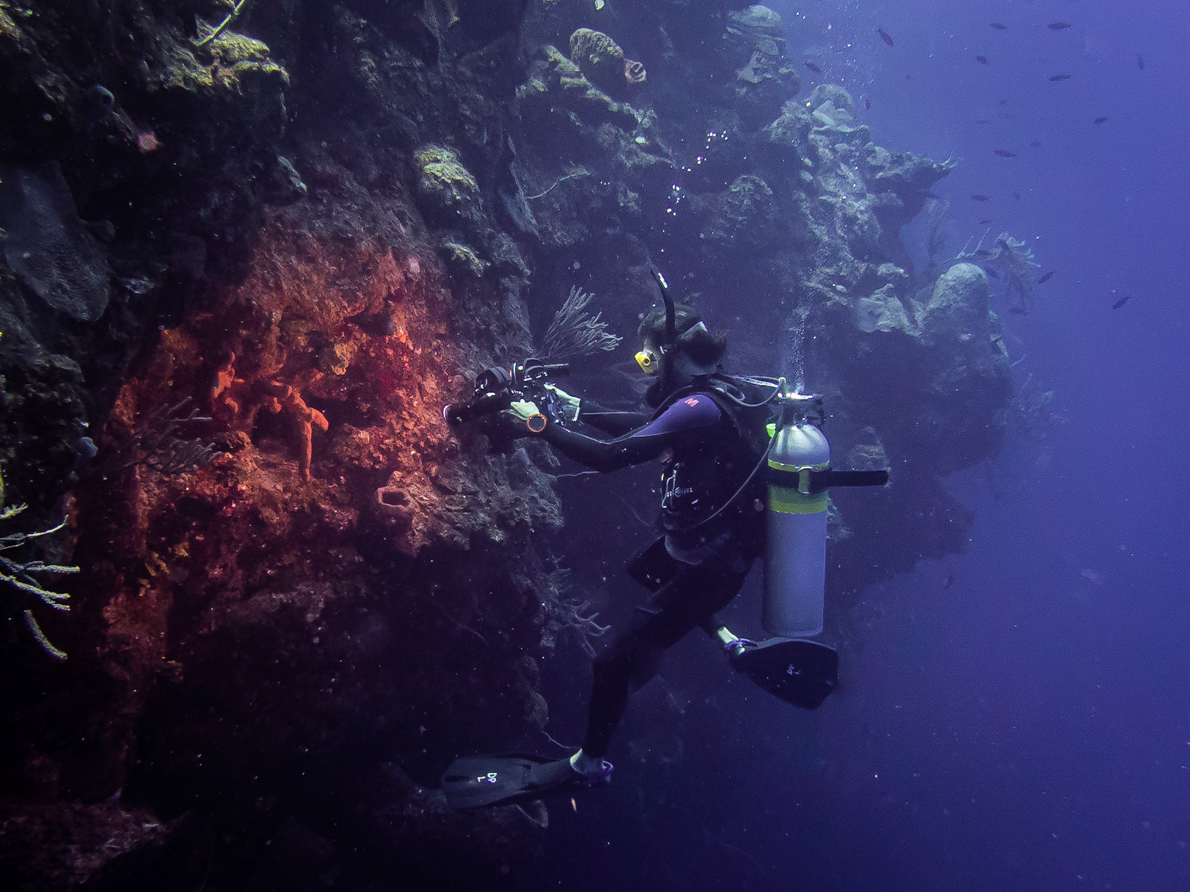 Shane Reynolds shooting a lobster on the wall