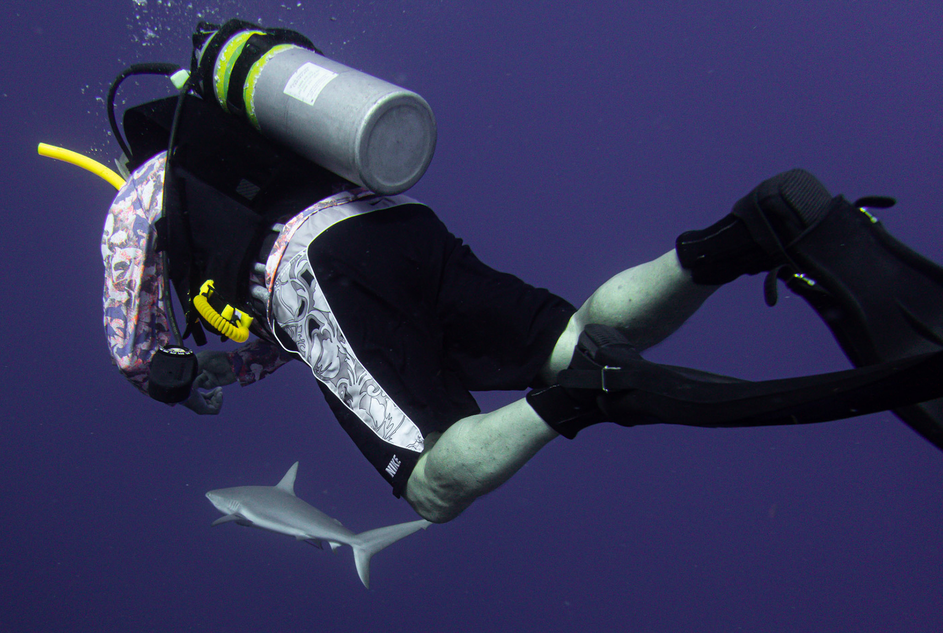 Chuck swimming with the shark