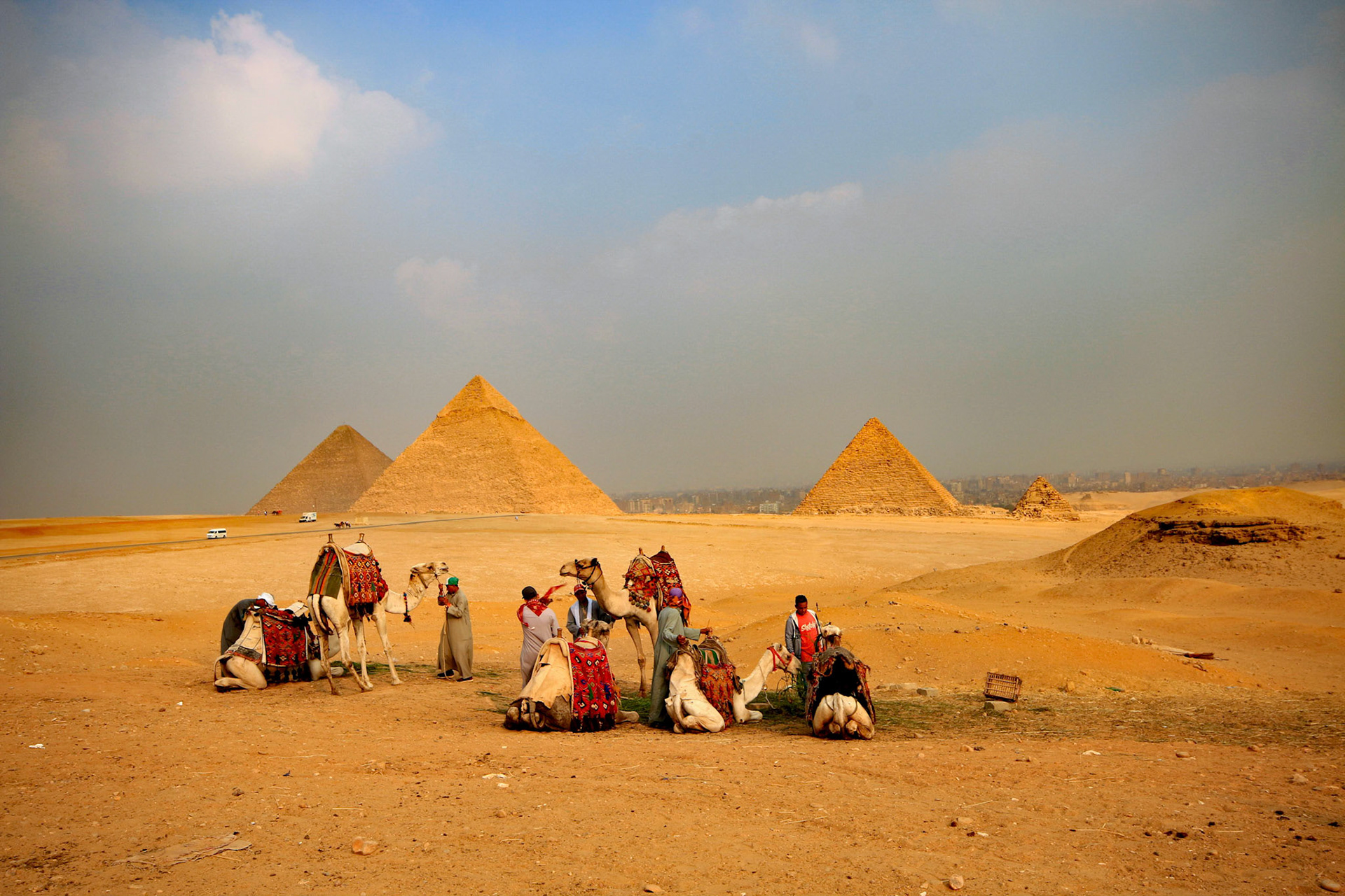 Camels at the pyramids
