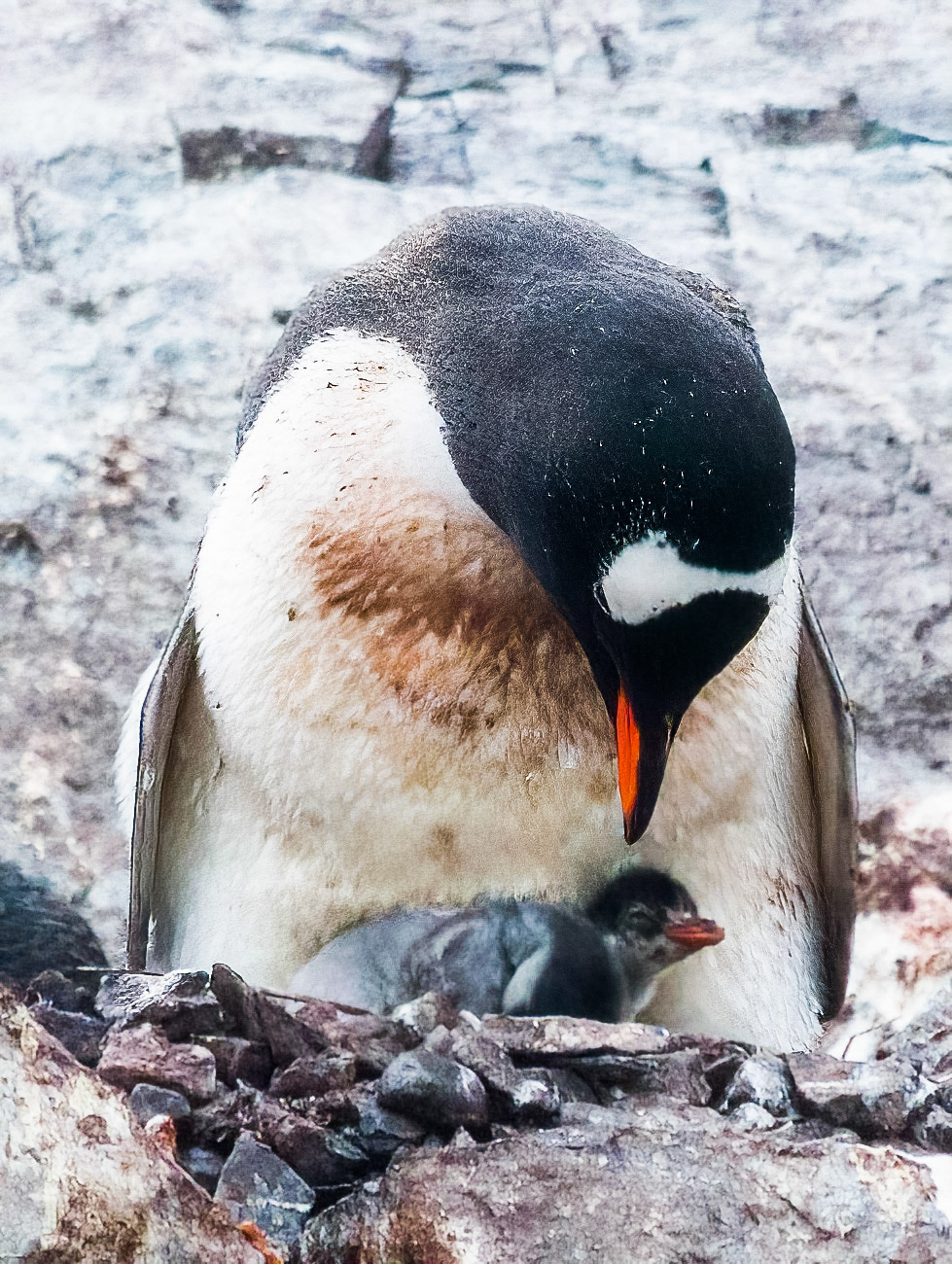 Mom and baby