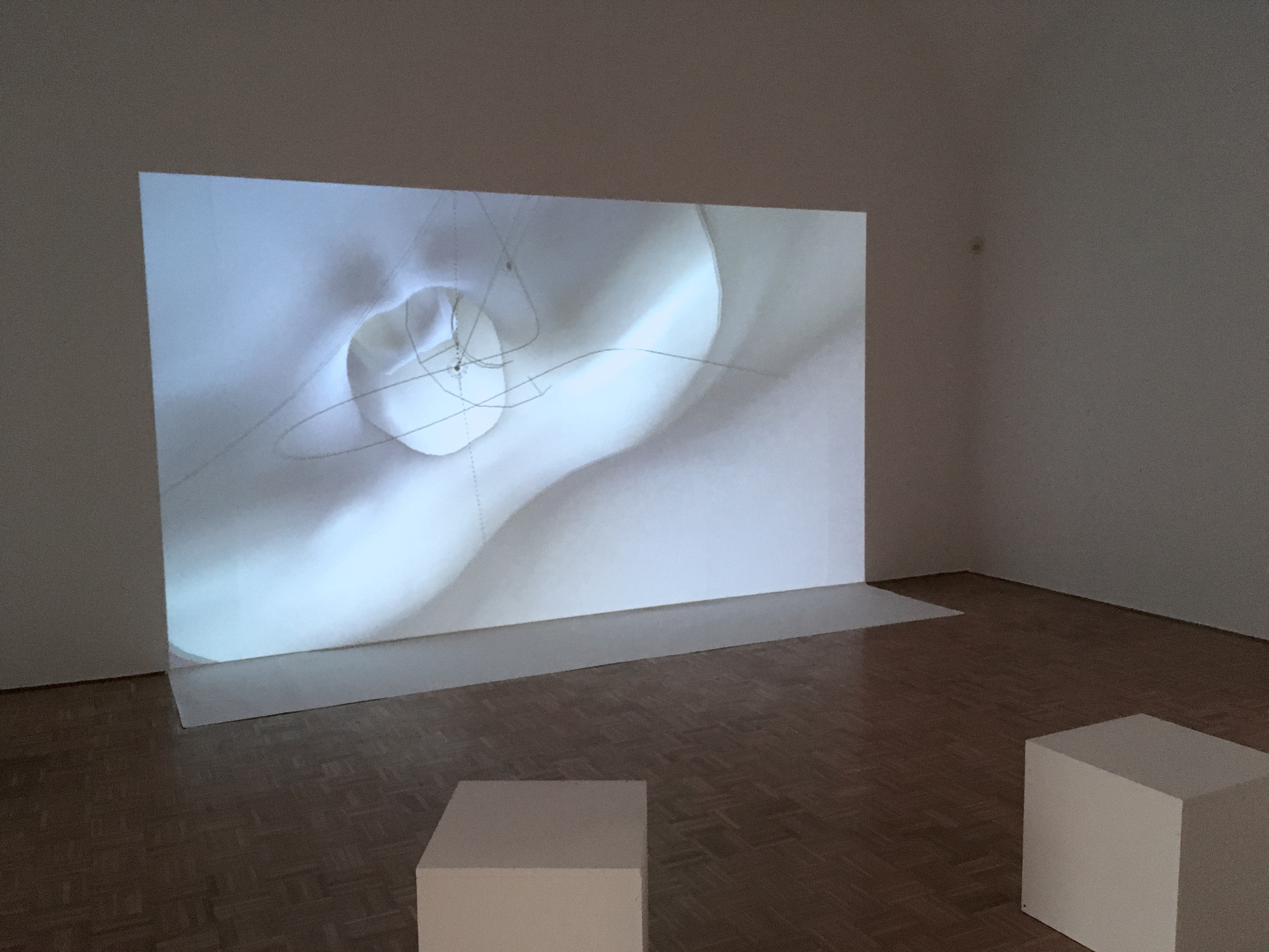 Premiera at CCAC (2018), Photo: Jernej Čuček Gerbec