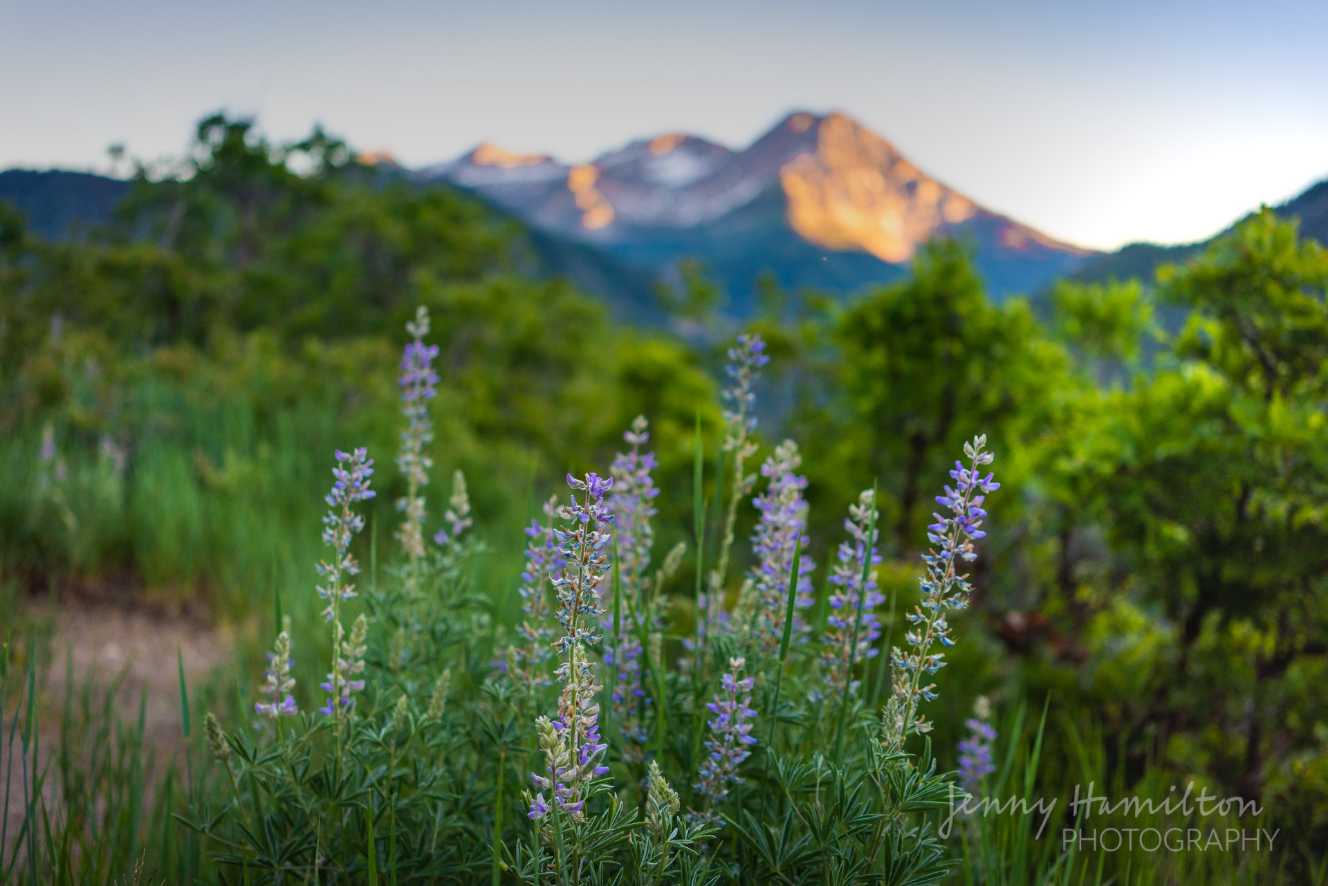 American Fork Canyon