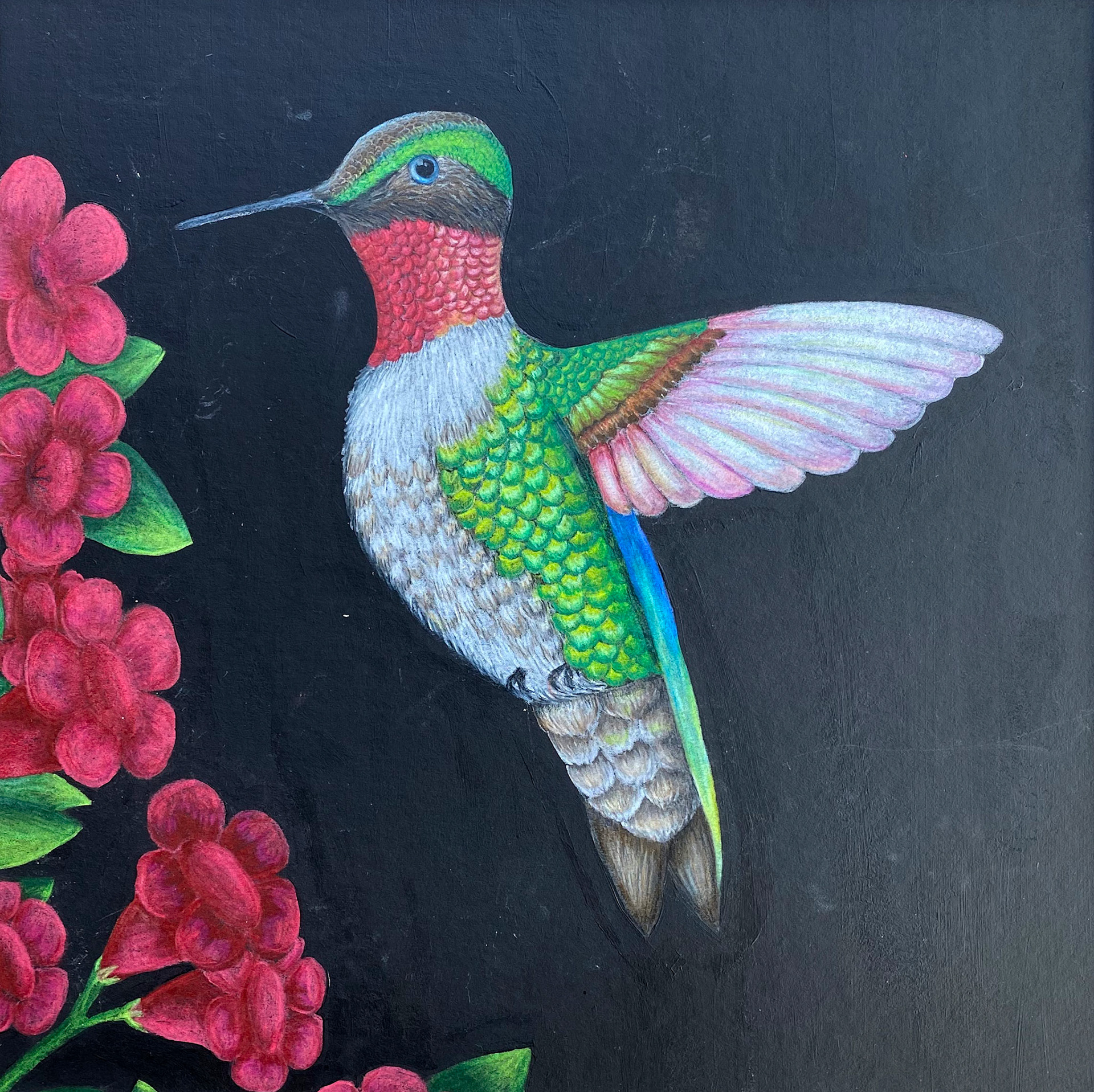 Hummingbird