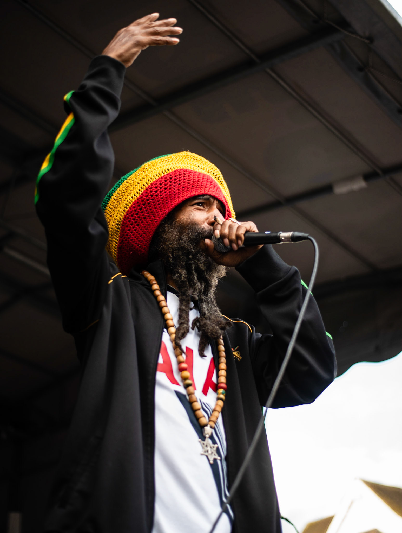 Congo Natty - Kingston Festival