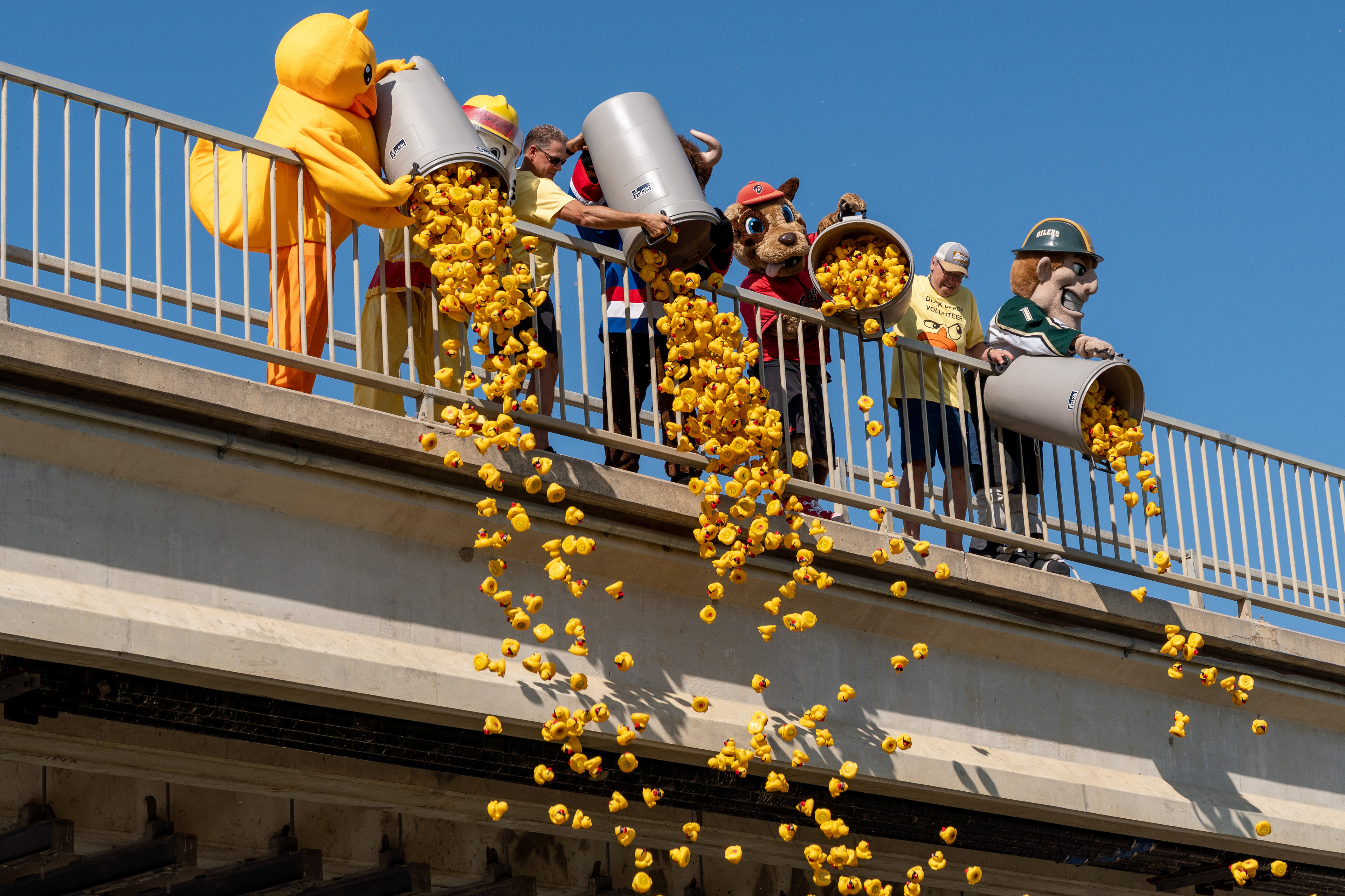 Mascots dump the ducks for the Okotoks Rubber Duck Race