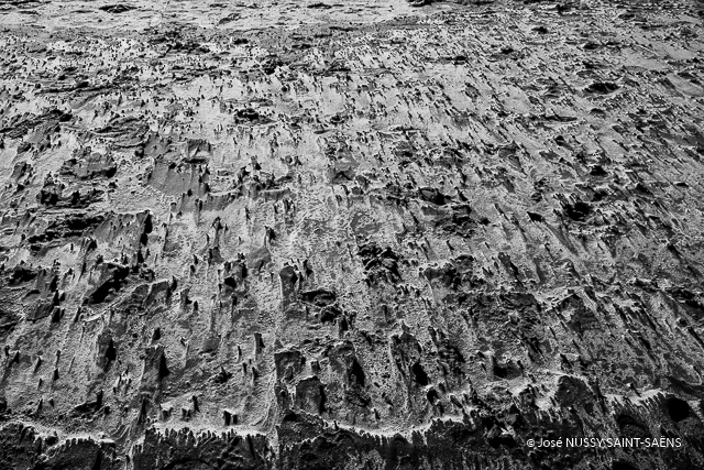 Multitude
