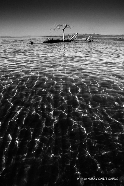 Lagon