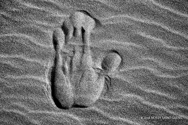 Chirographie