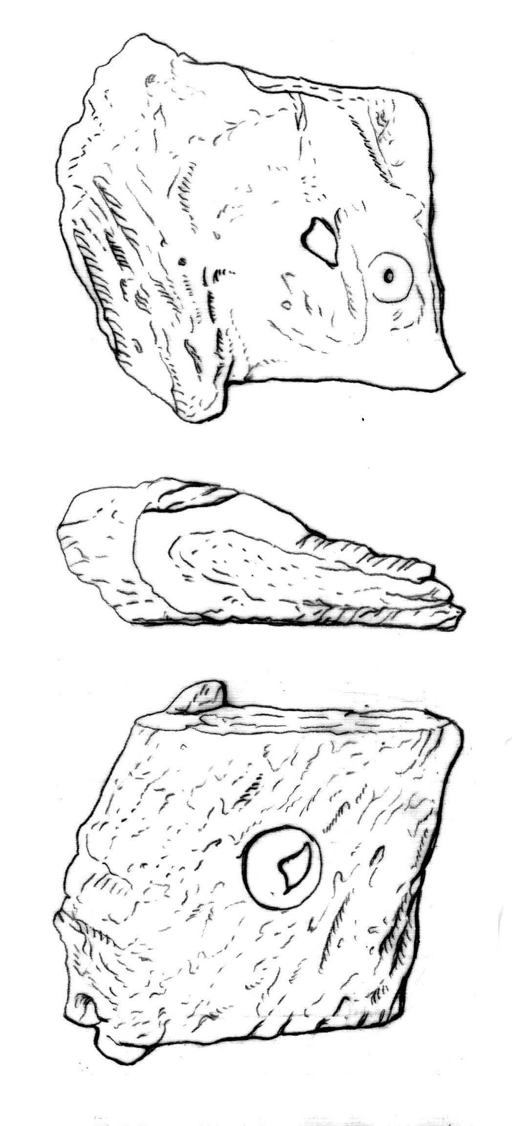 Fragment of a table made of horn, Basel