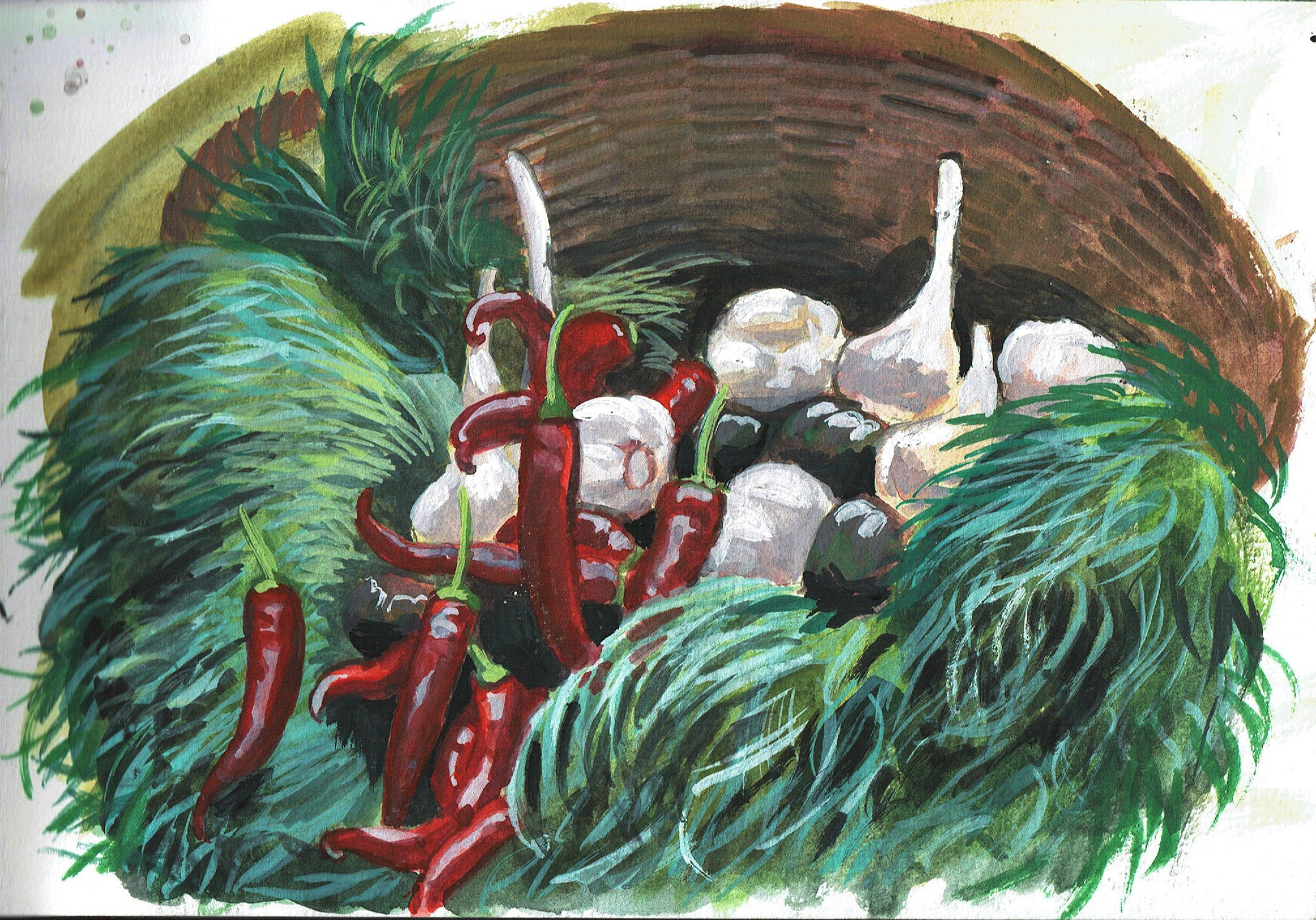 chilies, garlic & starweed, gouache