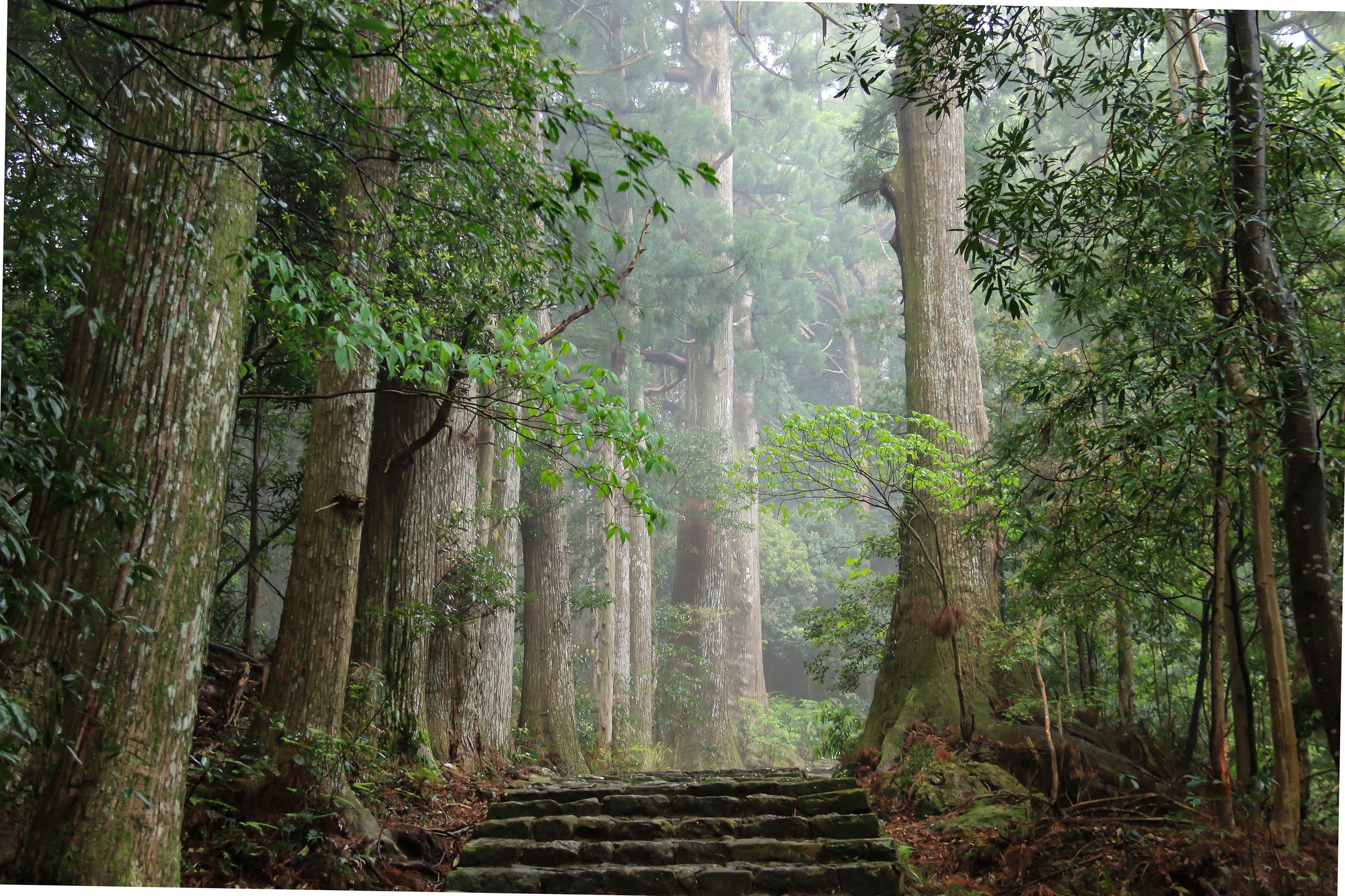 熊野古道 中辺路