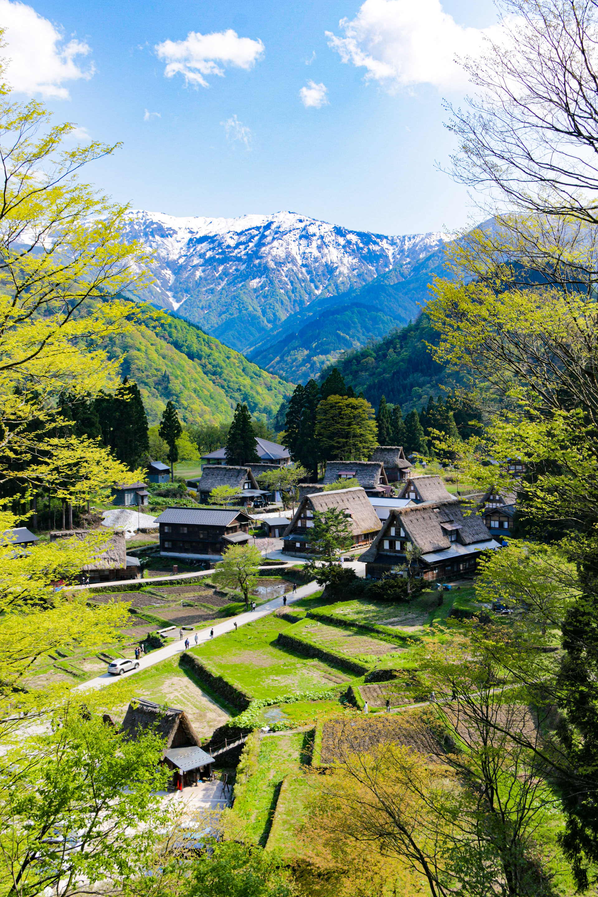 白川郷 五箇山の合掌造り集落