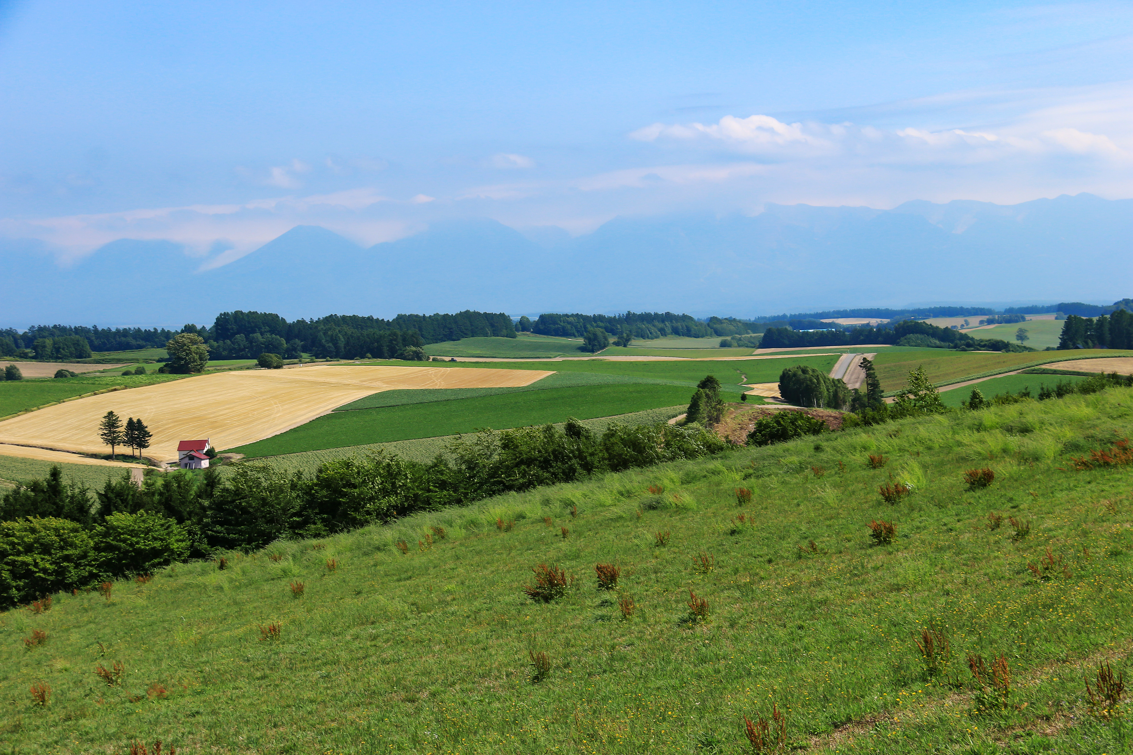 美瑛の風景 十勝連峰遠景
