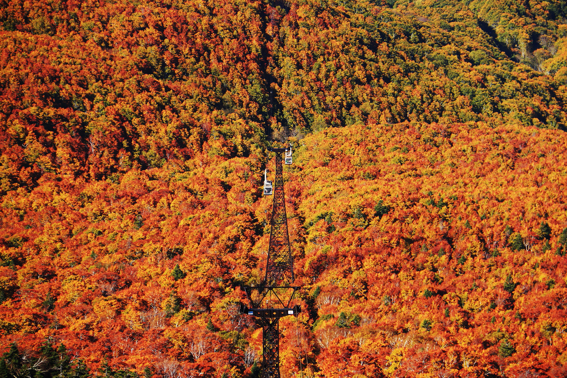 八甲田山の紅葉