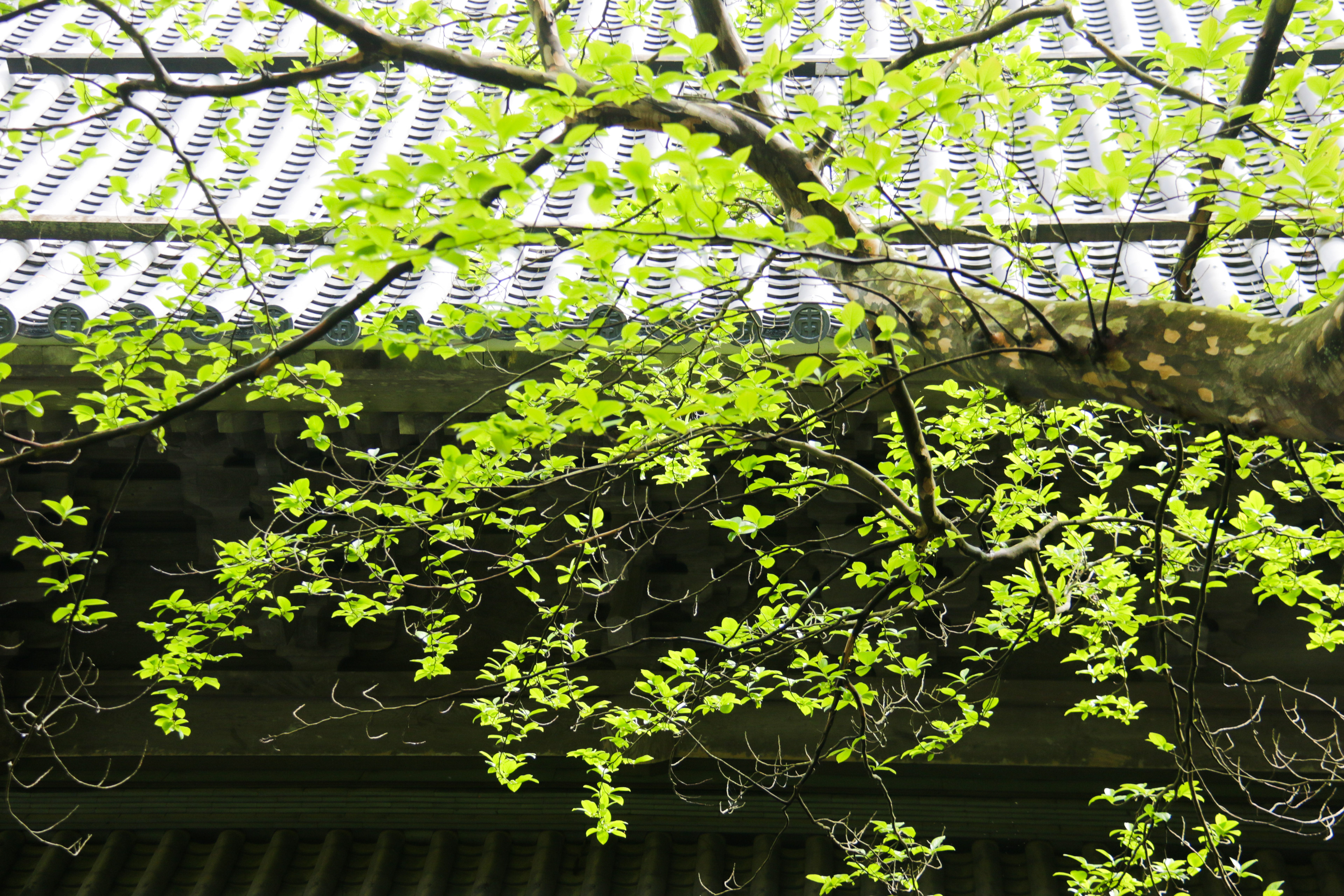 永平寺 大庫院