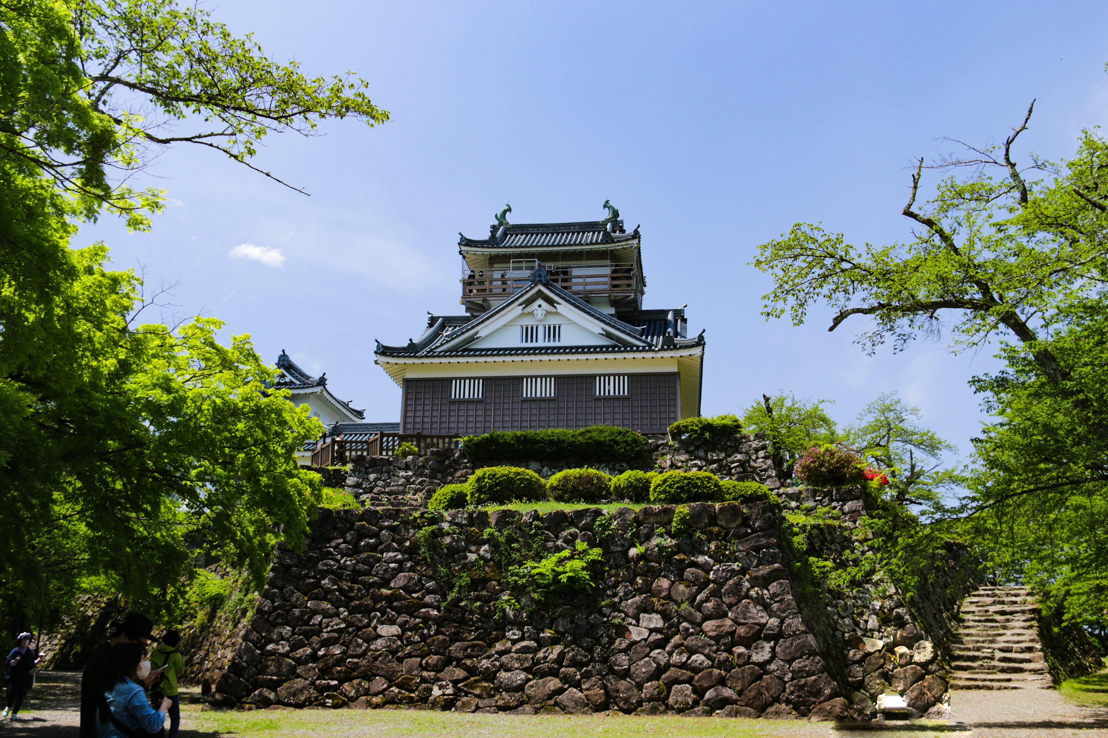 福井 越前大野城
