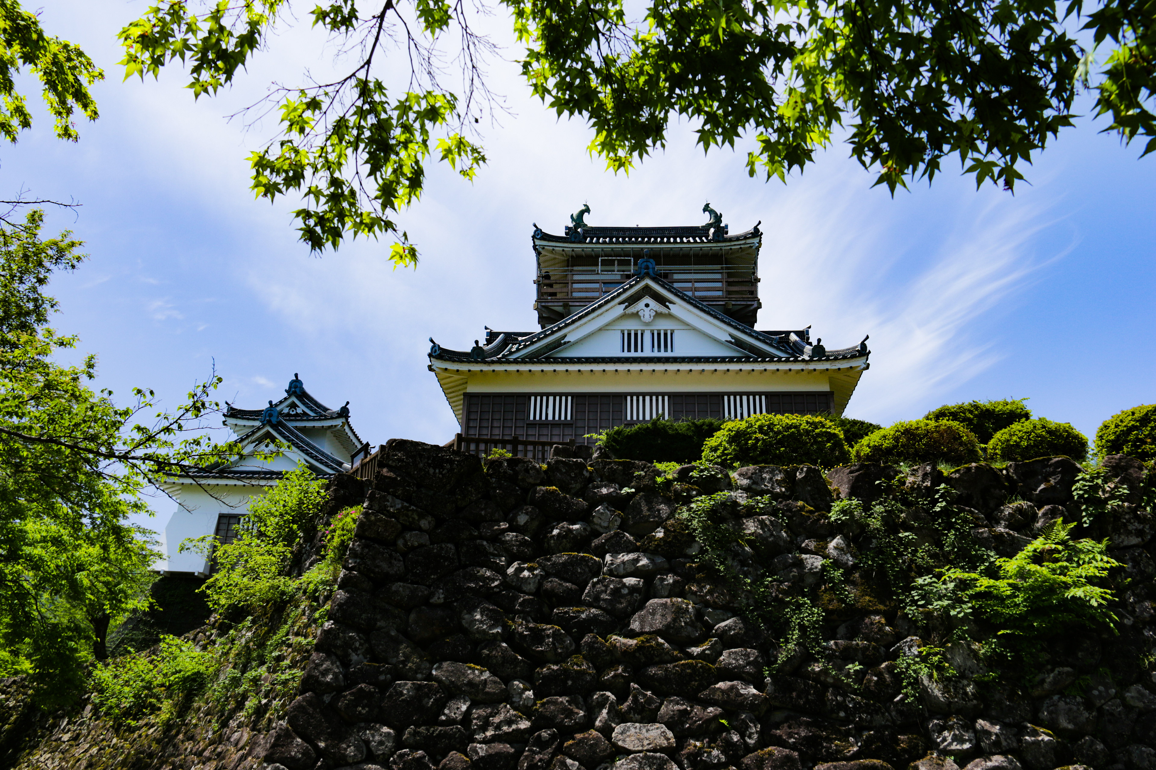 福井 越前大野城