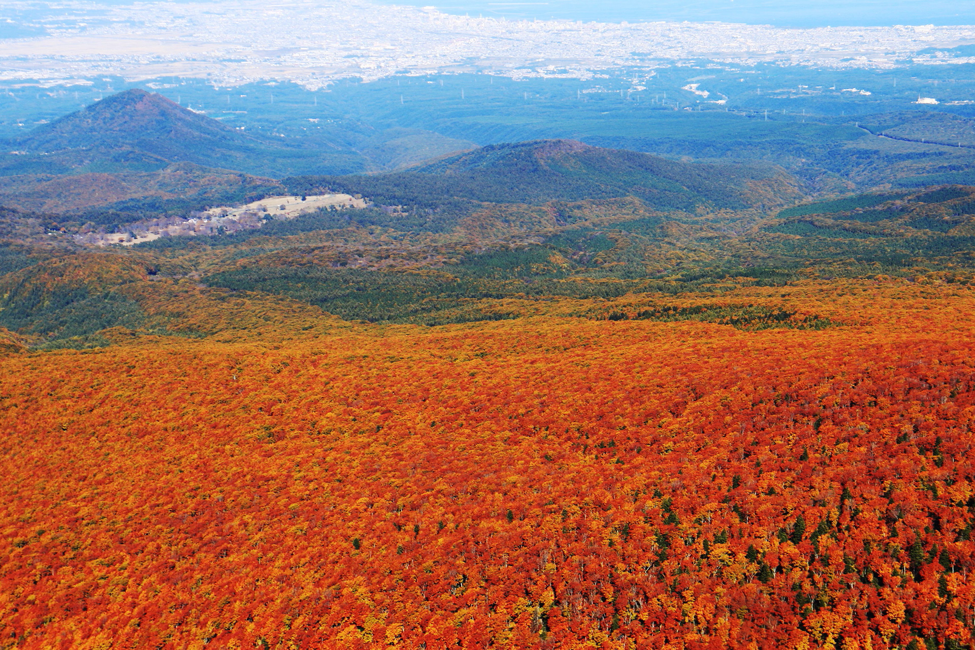 八甲田山の紅葉