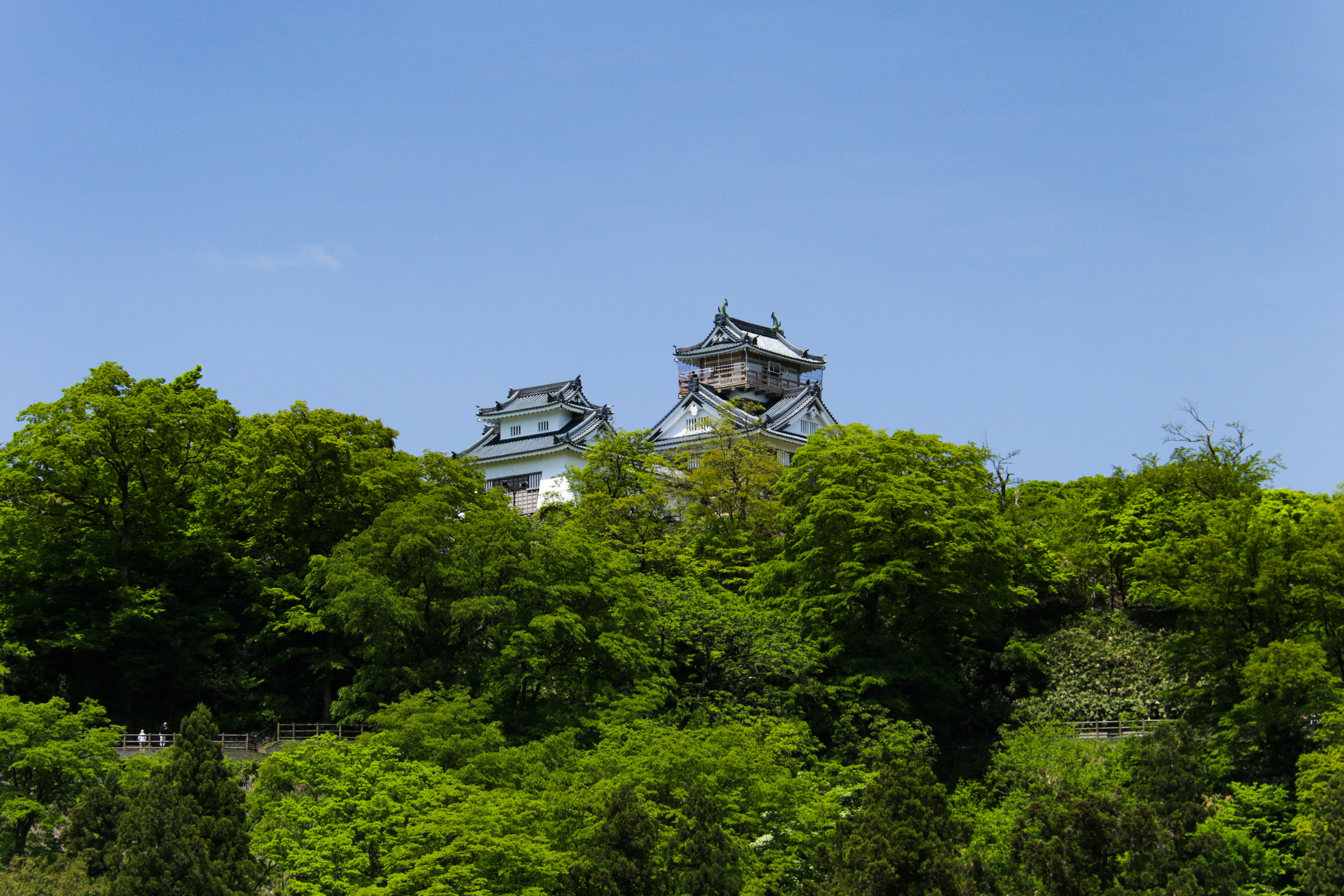 福井 越前大野城