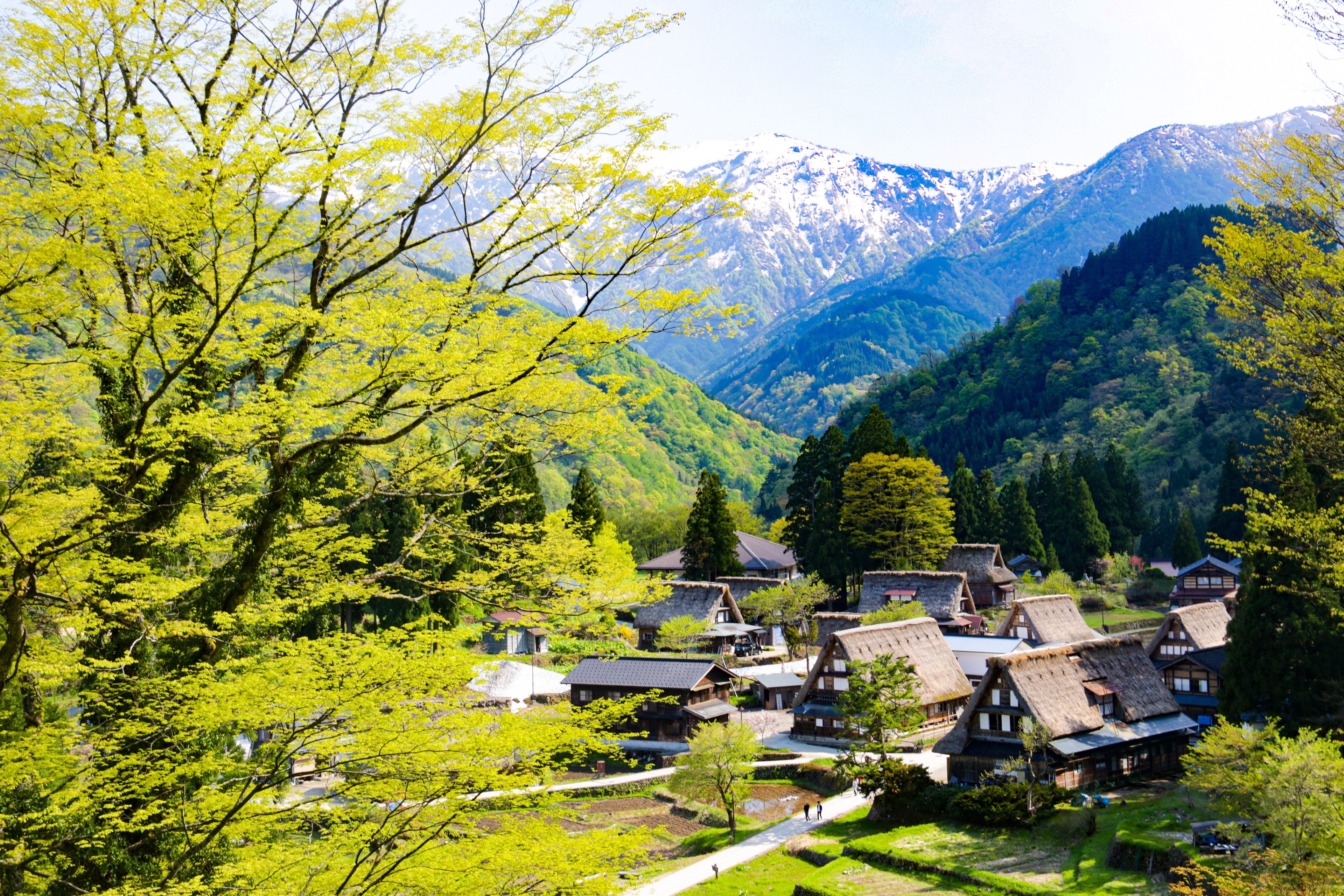 白川郷 五箇山の合掌造り集落