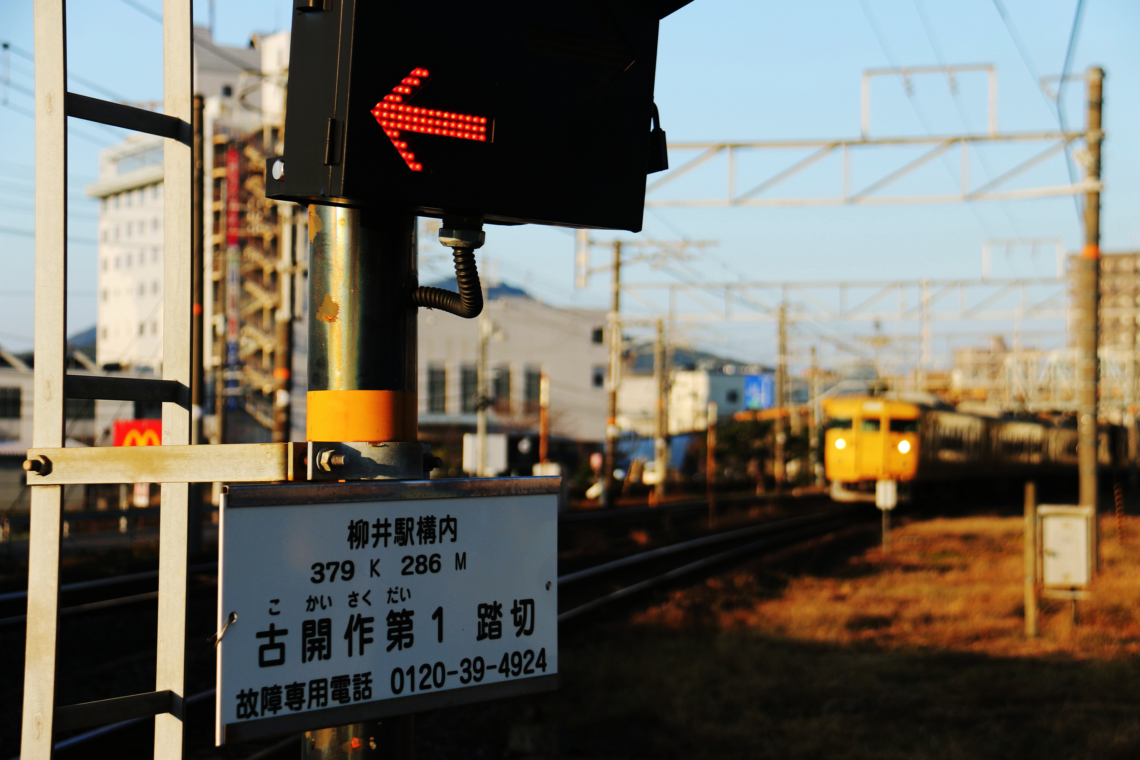 柳井