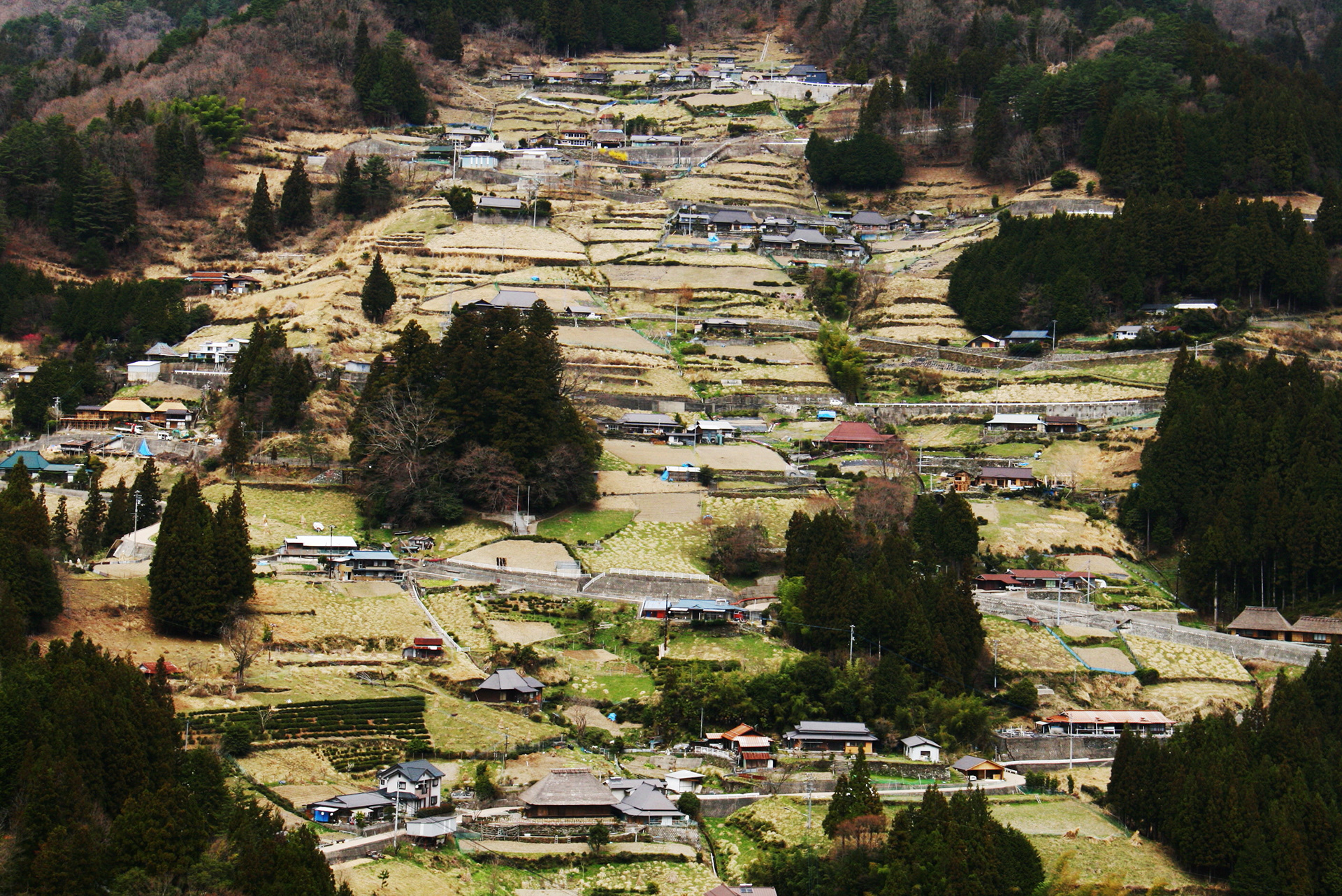 徳島 落合集落