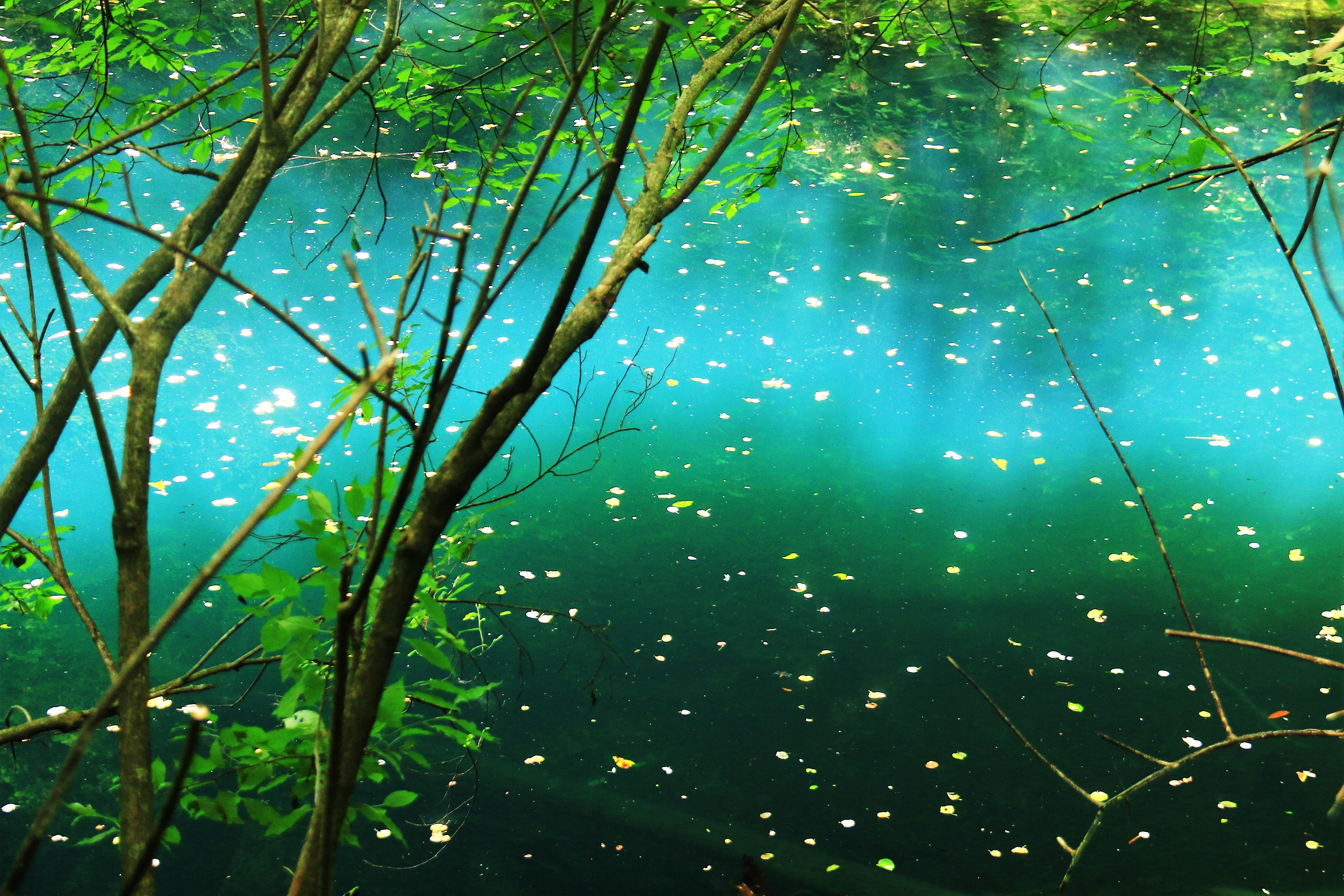 白神山地 十二湖