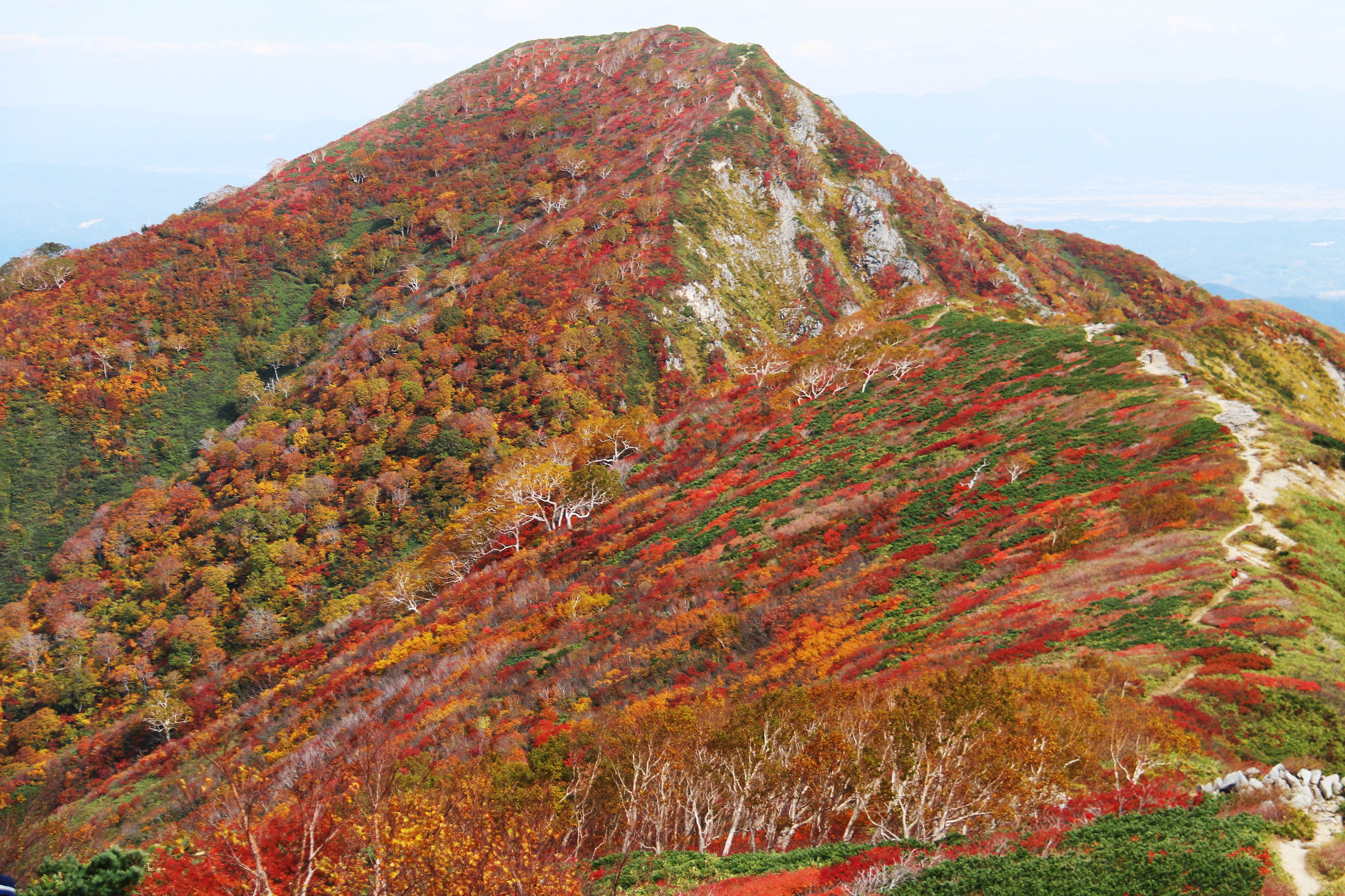 大朝日岳 山頂への道
